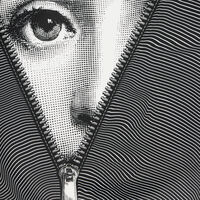 fornasetti tema e variazioni no 401 wall plate