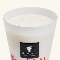 baobab collection feathers masaai candle max 24