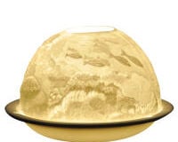 Lithoph Coral Reef Lithoph Coral Reef, small