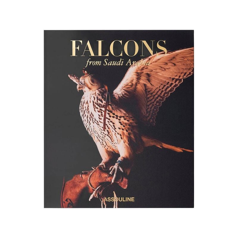 Falcons From Saudi Arabia Book, large