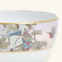 طقم لو بريزيل المؤلف من وعائين للحساء باللون الذهبي 9 سم هافيلاند طقم لو بريزيل المؤلف من وعائين للحساء باللون الذهبي 9 سم