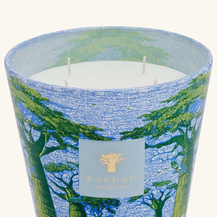 baobab collection sacred trees yarani candle max 16