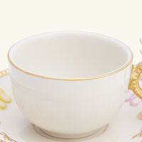 villari butterfly coffee cup saucer multicolor