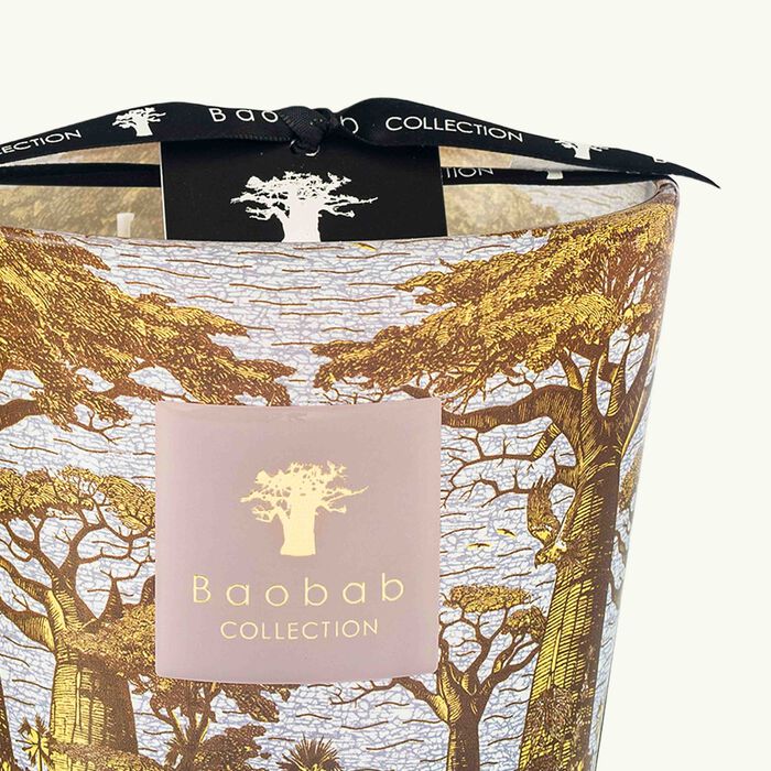 Sacred Trees Boukani Candle Max 10 baobab collection sacred trees boukani candle max 10