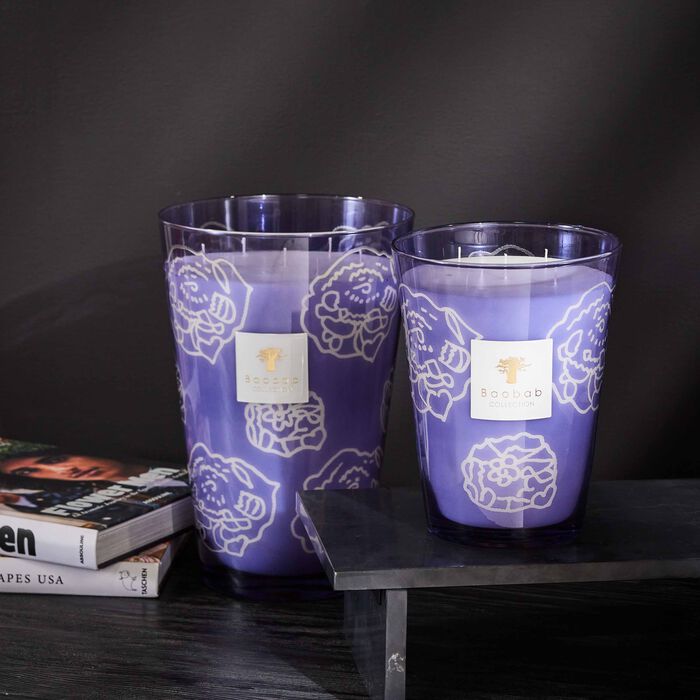 baobab collection collectible roses dark parma candle max 24