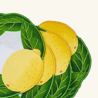 atelier houriatazi citron coaster green set of 4