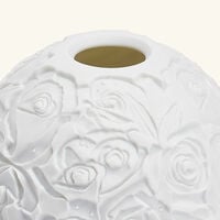 برناردو مصباح ليثوفاني روز