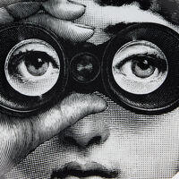fornasetti tema e variazioni no 286 wall plate