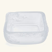 قطعة ديكور مركزية بوتانيكا بيفوان شفافة لاليك قطعة ديكور مركزية بوتانيكا بيفوان شفافة