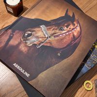 The Royal Stables of Bahrain: The Legacy of Arabian Horses Book 10x16cm assouline the royal stables of bahrain the legacy of arabian horses book 10x16cm