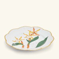 pinto paris histoires d orchidees dinner plate round green 26cm