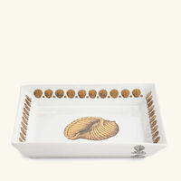 fornasetti giro di conchiglie trinket tray square small gold