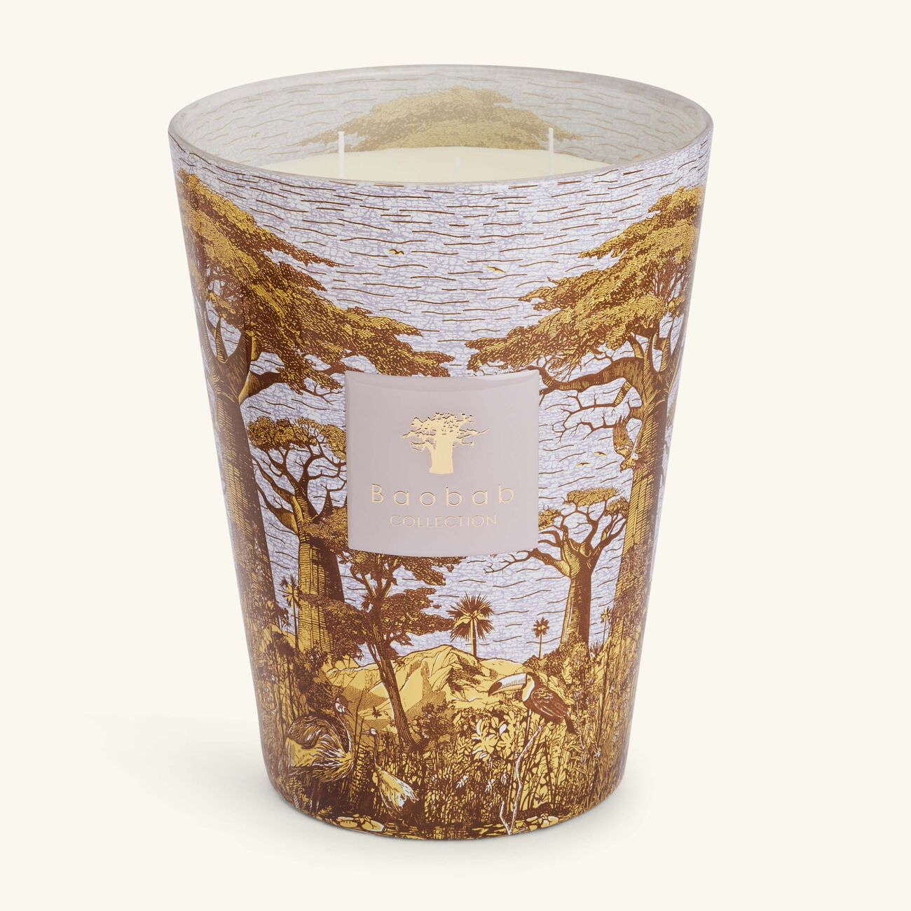 baobab collection sacred trees boukani candle max 24