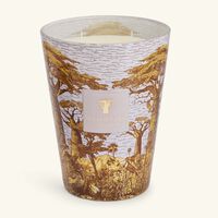 baobab collection sacred trees boukani candle max 24
