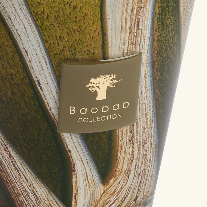 baobab collection woods sherwood candle max 16