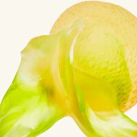 daum citrus lemon decorative figurine small yellow limited edition