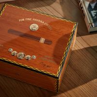 Medal Cigar Humidor Brown elie bleu medal cigar humidor brown