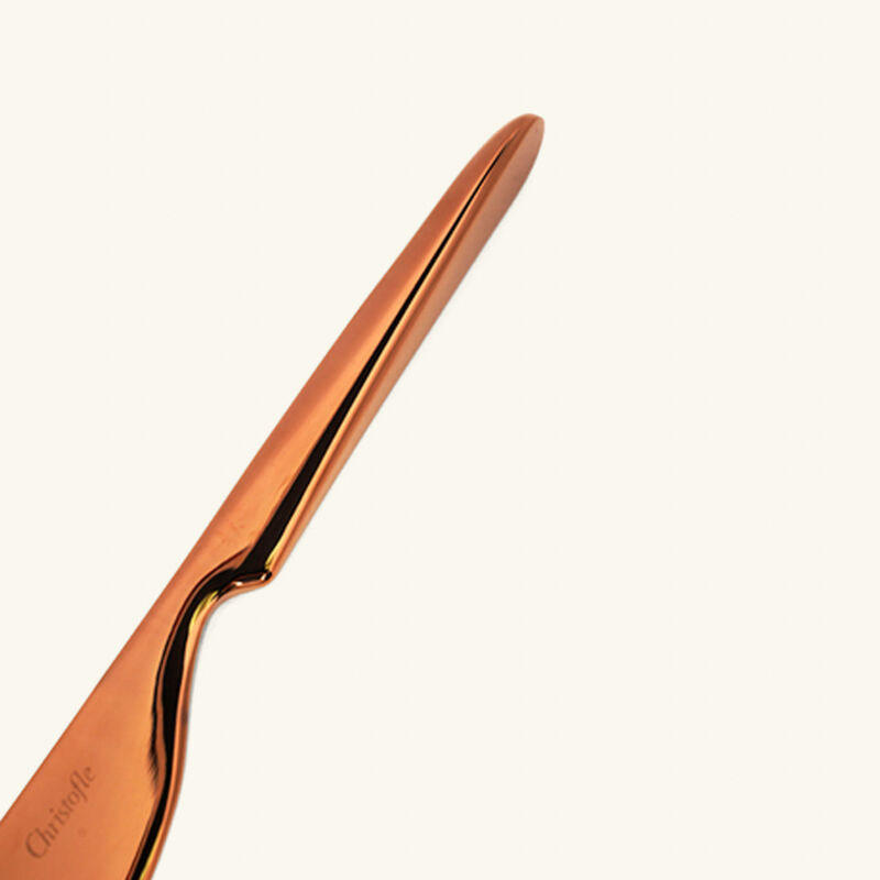 سكين الزبدة لام دو كريستوفل وردي سكين الزبدة لام دو كريستوفل وردي