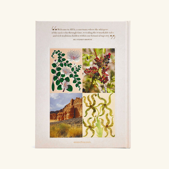 assouline alula flora book 33x25 4cm