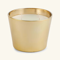 baobab collection les exclusives aurum candle max 10