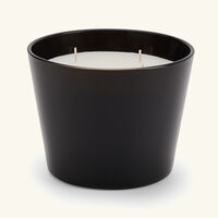 baobab collection encre de chine candle max 10