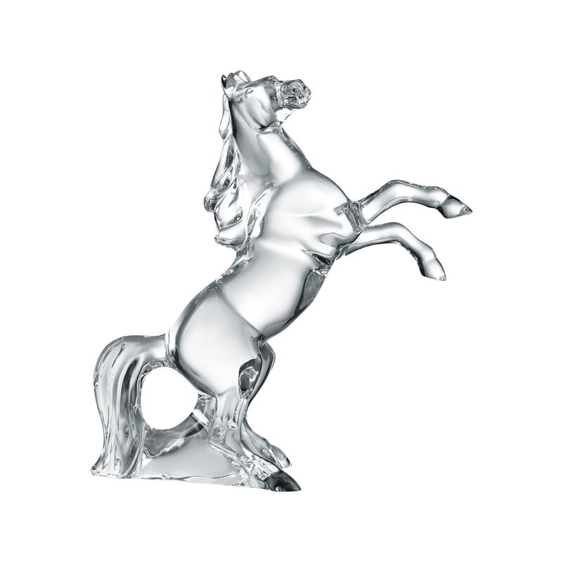 حصان مارينغو, large