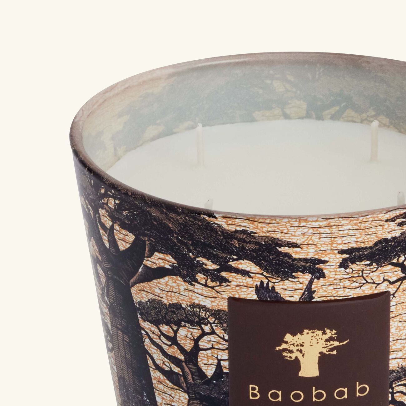 baobab collection sacred trees mankono candle max 10