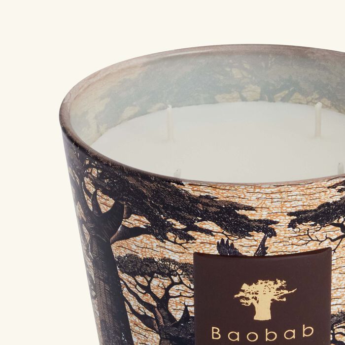 baobab collection sacred trees mankono candle max 10