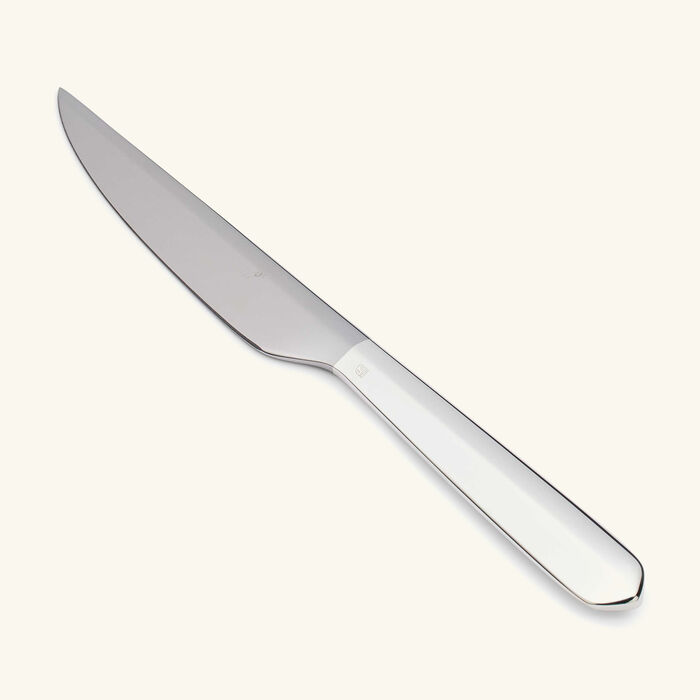 كريستوفل سكين إنفيني متعدد الاستخدامات متوسط باللون الفضي