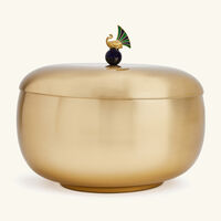 ira udaipur mayur serving pot with lid gold 21cm