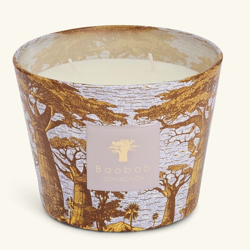 Sacred Trees Boukani Candle Max 10 baobab collection sacred trees boukani candle max 10