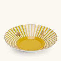 bernardaud delphos brick tea cup saucer pattern
