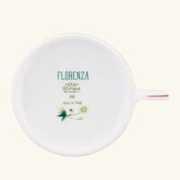 Florenza Acanto Impero Tea Cup Green ginori 1739 florenza acanto impero tea cup green