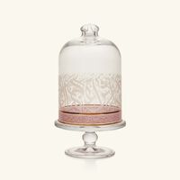 دملاج قاعدة الكيك الشفافة نغم مع غطاء   12 سم