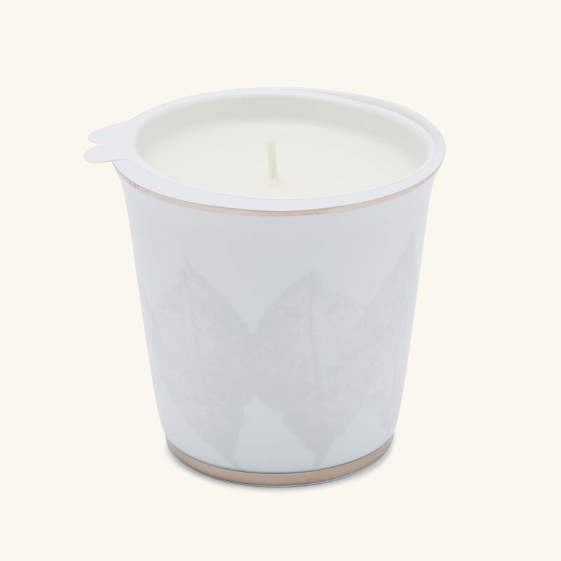 Silva Tumbler with Candle bernardaud silva tumbler with candle