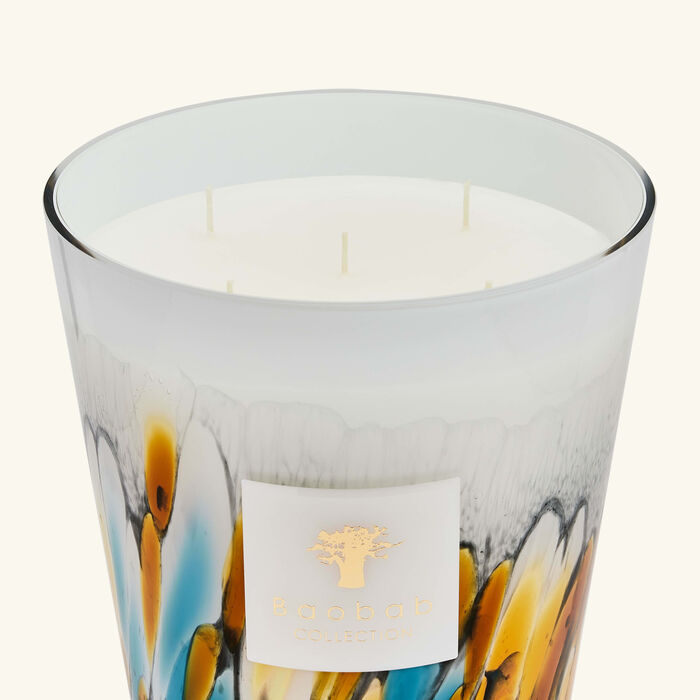 baobab collection rainforest mayumbe candle max 24