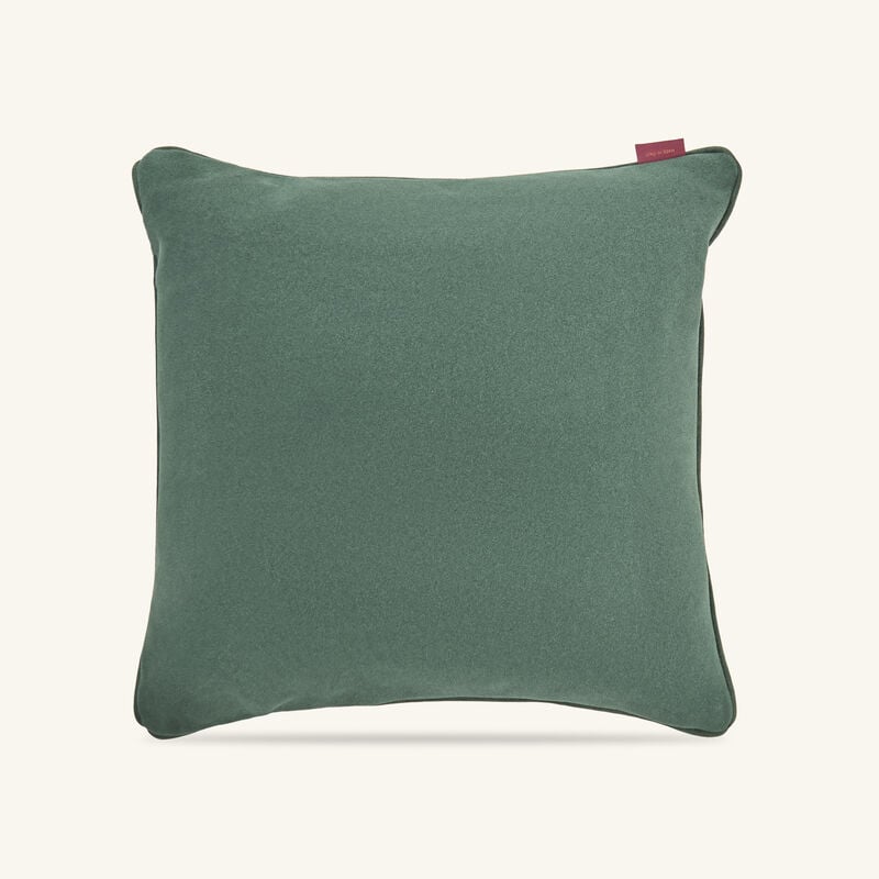 etro arnica embroided cushion brown