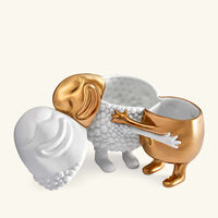 l objet haas huggers box