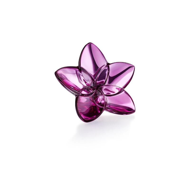 The Bloom Collection The Bloom Collection, large