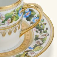 bernardaud botanique tasse et soucoupe coffee cup saucer gold