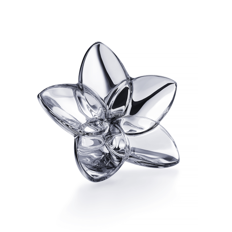 The Bloom Collection The Bloom Collection, large