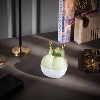 l objet haas butts up box green