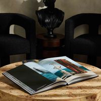 assouline louis vuitton trophy trunks book 39x31cm