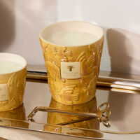 باوباب شمعة دوف المعطرة ماكس 16