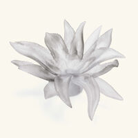 daum cactus centrepiece grey