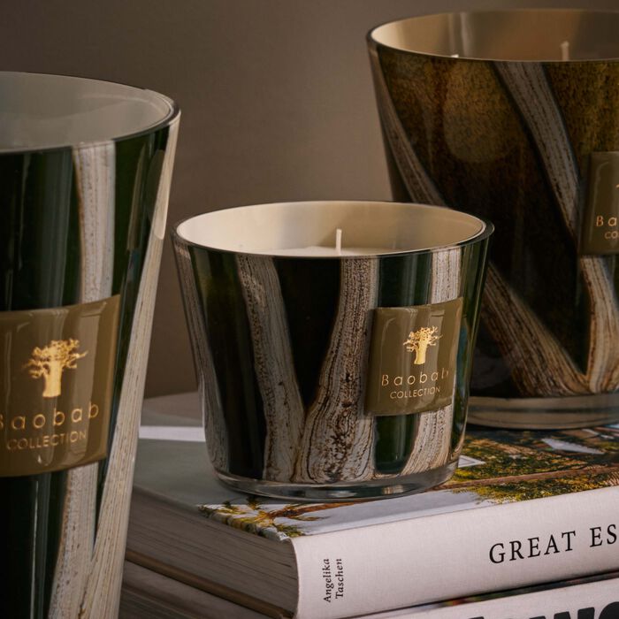 baobab collection woods sherwood candle max 10