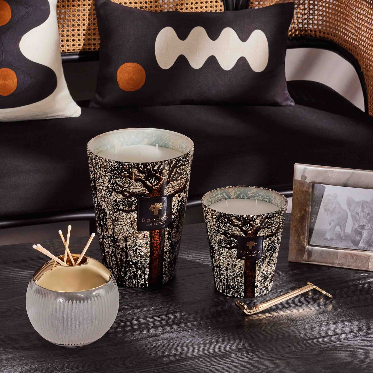 baobab collection sacred trees morondo candle max 16