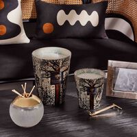 baobab collection sacred trees morondo candle max 16