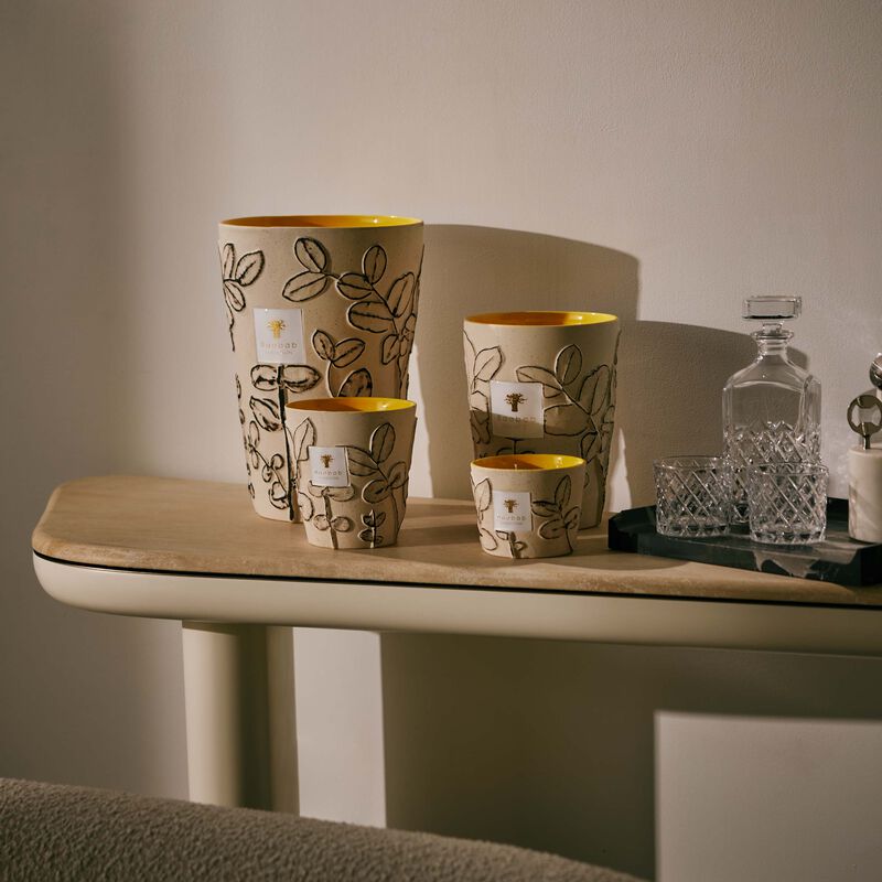 باوباب شمعة فوليا كالانك ماكس 16