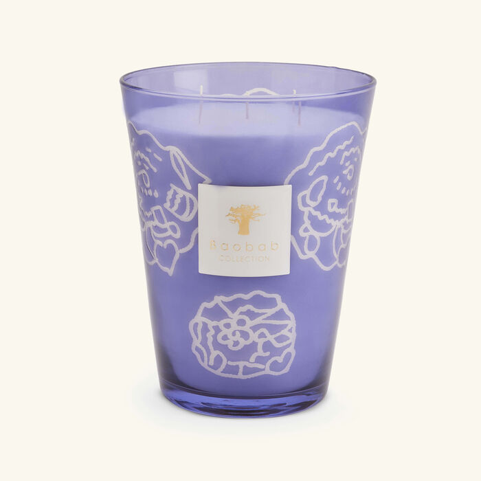baobab collection collectible roses dark parma candle max 24